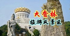 美女日逼视频下载中国浙江-绍兴大香林旅游风景区